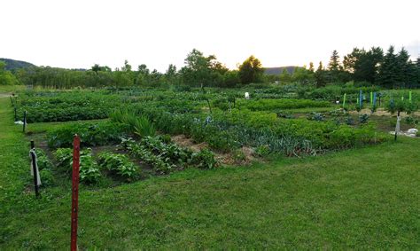 Community Garden Plots Available Lake City Graphic