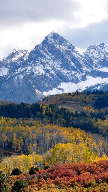 Landscape View Of White Snow Covered Mountains Yellow Red Green Leafed