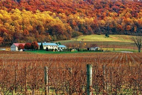 Loudoun County Virginia Wine Tourism Virginia Wine Country Wine