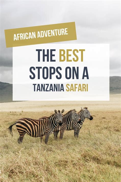 African Safari In Tanzania The Ultimate Itinerary And Tour