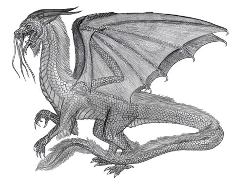 Western Dragon Bipedal By Bysthedragon On Deviantart