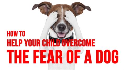 3 Ways To Help Kids Stop Being Afraid Of Dogs Youtube
