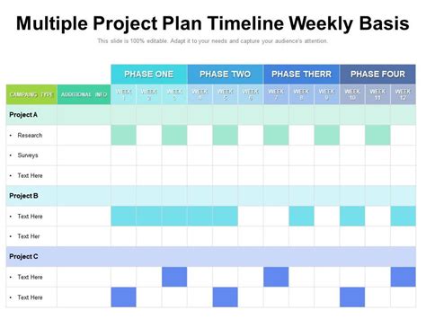 Multiple Project Plan Timeline Weekly Basis Powerpoint Slides