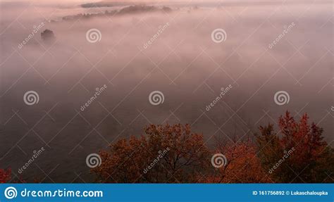 Aerial View To Autumn Misty Fog Trees And Path Czech