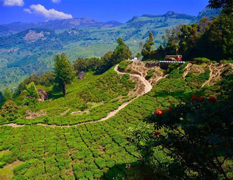 Munnar Wallpapers Top Free Munnar Backgrounds Wallpaperaccess