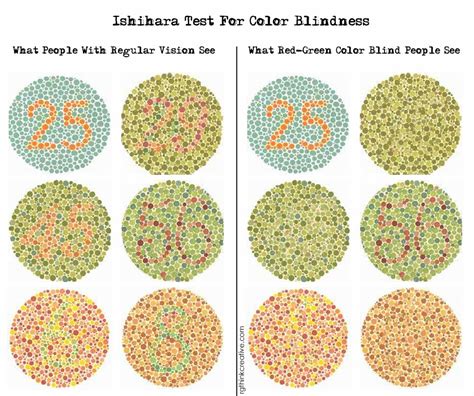 Sandra Graves Isis Rising Vision Color Blindness And Color Perception