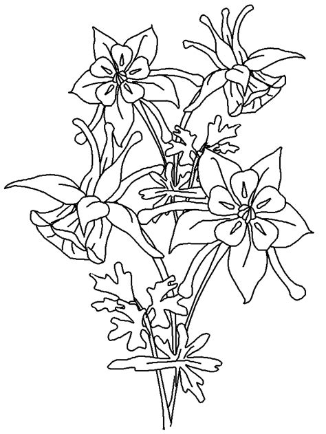 Pin di maria rosella betancur arcila su asilo nel 2020 disegno di violets might work as a quilting motif con immagini disegno fiori disegni da colorare fiori disegnati da colorare. Fiori 5, Disegni per bambini da colorare