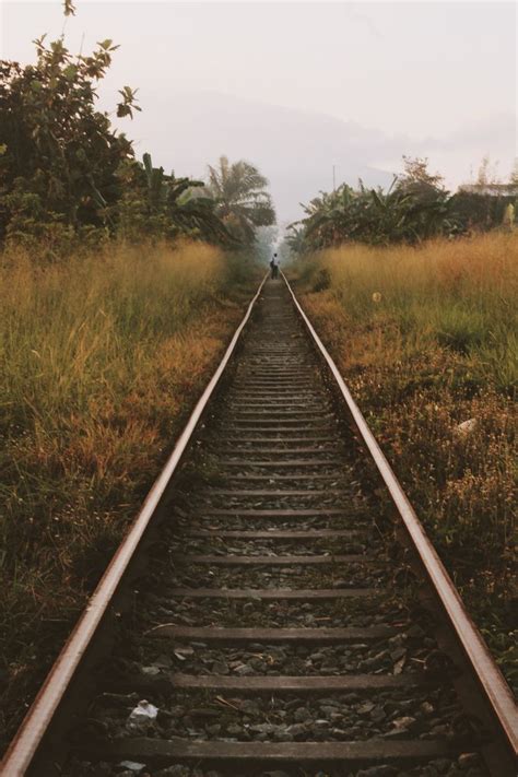 Pin By Crstcgy On Nature Nature Railroad Tracks Railroad