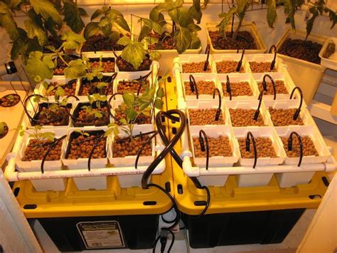 Do it yourself (diy) hydroponic systems are also an option that you can look into if you want to try out homemade hydroponics gardening. 12 Innovative DIY Hydroponics Systems To Grow Soil Less Plants - The Self-Sufficient Living