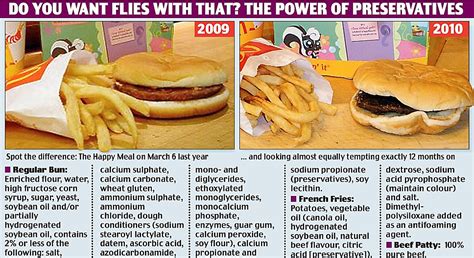 Mcdonalds Burger And Fries After 6 Months
