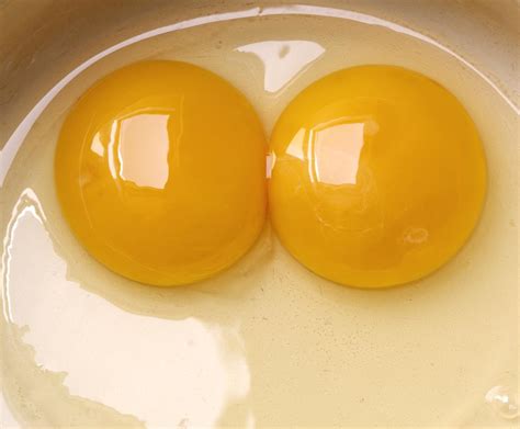 The Region Famous For Double Yolk Eggs 7news