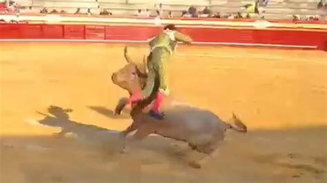 Shocking Moment Spanish Bullfighter Is Gored In The Rectum And Tossed