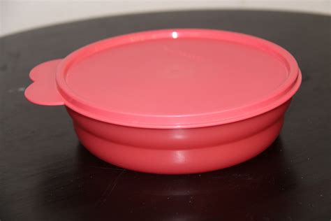 Vintage Tupperware Watermelon Cereal Bowl With Watermelon Lid Etsy