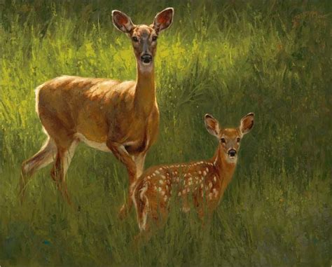 Whitetail Deer Doe And Fawn Painting By Greg Beecham Animal