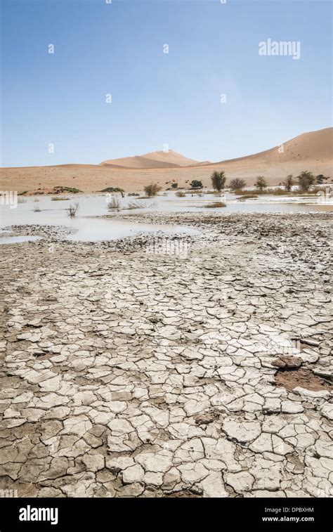 Desertification In Africa