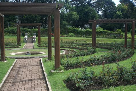 Nuwara Eliya Victoria Park Rose Garden In Sri Lanka