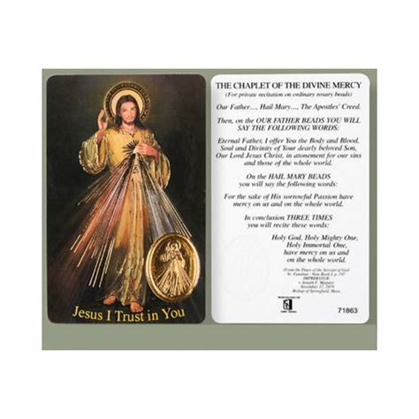 Divine Mercy Chaplet Laminated Prayer Card Prayer Cards Pilgrim