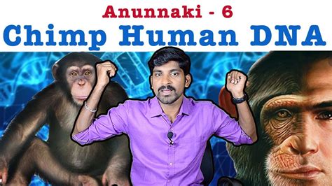 Anunnaki Part 6 Chimp Human Dna Tamil Pokkisham Vicky Tp Youtube
