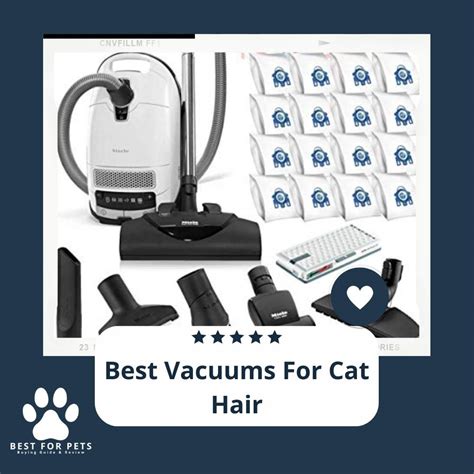 11 Best Vacuums For Cat Hair In 2022