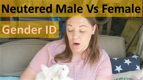 How To Tell Gender Of Neutered Male Vs Female Adult Cat Short Hair And Fluffy Youtube