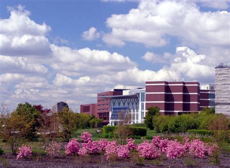University Of Massachusetts Boston Campus University And Colleges