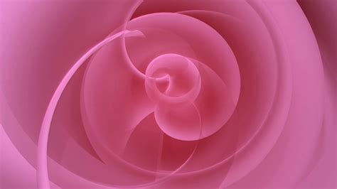 Rose Petal Spirals Motion Background 0020 Sbv 300208949 Storyblocks