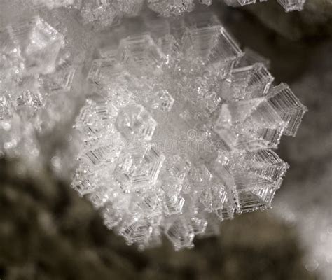 Surface Hoar Frost Crystals Stock Photo Image Of Abstract Natural