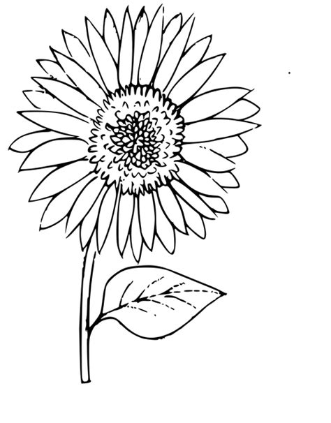 Outline block building tower for coloring book vector. Outline Sunflower Coloring Plant · Free image on Pixabay