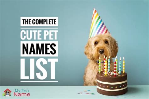 550 Cute Pet Names The Complete Adorable Names For Pets List My Pet