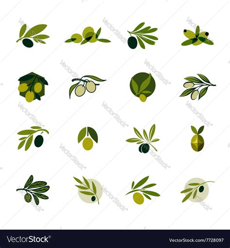 Olive Branch Set Of Logos And Icons Royalty Free Vector
