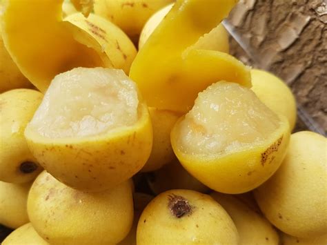 If the fruit tree you are looking for is not in this list, we will source it for you. From Marula to Amarula - Demand Africa
