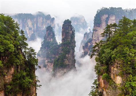 Check spelling or type a new query. The 10 Best Zhangjiajie National Forest Park (Zhangjiajie ...