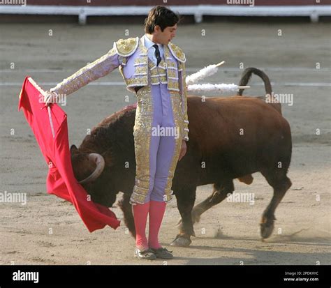 A bull passes by French bullfighter Sebastian Castella during 'Senor de