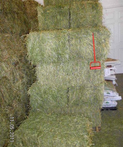 Hay Bale 1 Whispering Ranches Feed