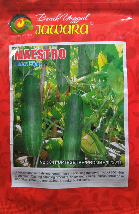 jual benih timun hijau maestro harga murah bogor oleh multi agri sarana