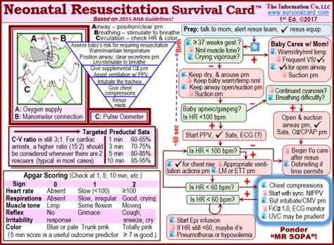 Neonatal Resuscitation Algorithm And Critical Newborn Resuscitation