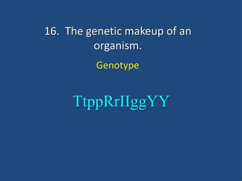 What Is The Genetic Makeup Of An Organism Described As Makeupview Co