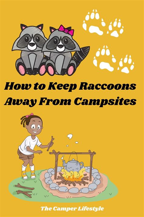 How To Keep Raccoons Away From Campsites In 2021 Camping Safety