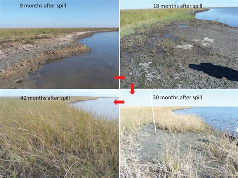 Haixin duan (institute for network sciences and. Ten Years after Deepwater Horizon: Oil Spill's Impact on ...