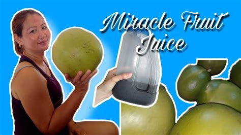 How I Make My Miracle Fruit Juice Youtube