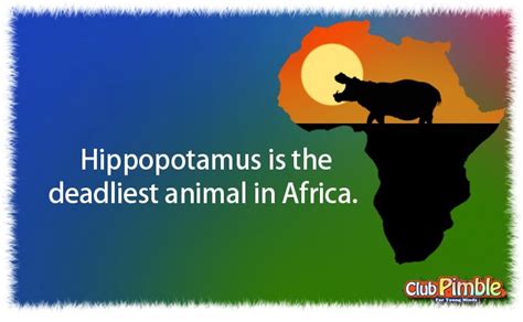 10 Interesting Facts About Africa That Will Amaze You Kulturaupice