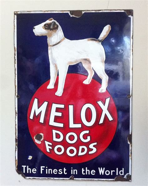 Rare 1930s Melox Dog Foods Enamel Sign Dog Food Recipes Fox Terrier