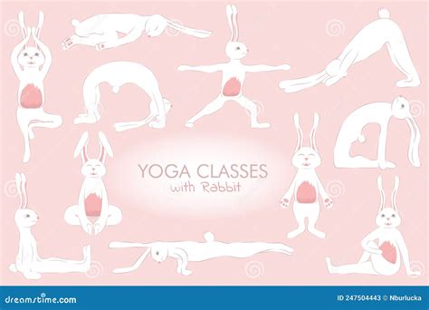 Yoga Classes With Rabbit Poses Set Stock Vector Illustration Of
