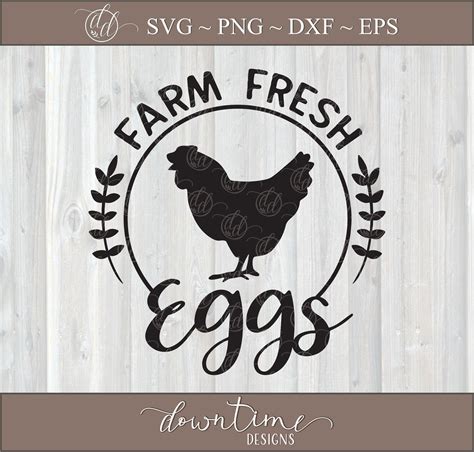 Farm Fresh Eggs Svg Chicken Eggs Svg Farmhouse Svg Farm Etsy
