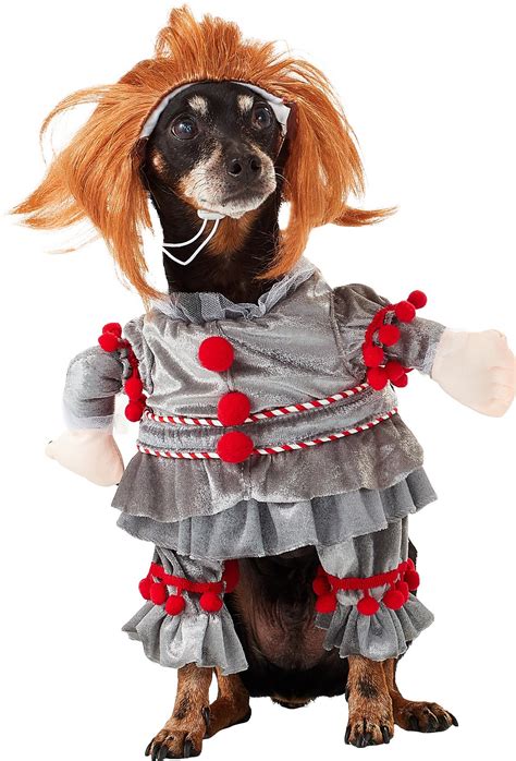 12 Scary Dog Costumes For Your Spooky Pooch Dogs Explorer