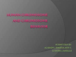 Ppt H Uman Chromosome And Chromosome Behavior Powerpoint Presentation