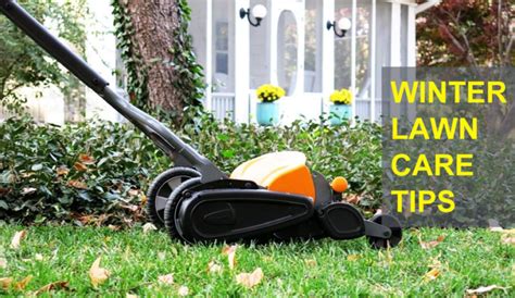 Winterizing Your Lawn Effective Winter Lawn Care Tips