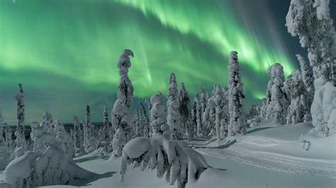 Aurora Borealis Animated Wallpaper Aurora Borealis  On