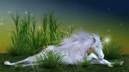 Girly Unicorn Backgrounds Resolution Wallpapers Windows Iphone