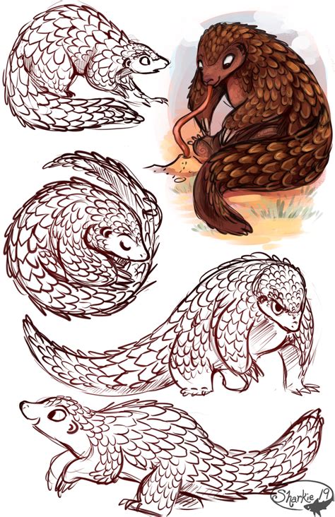 Pangolins by sharkie19 on DeviantArt